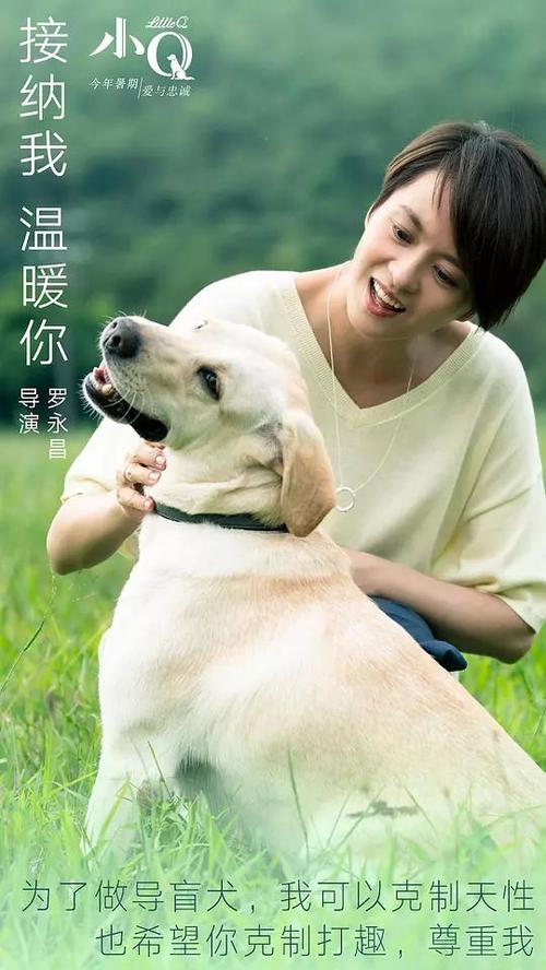 武蔵野学院大学国际商务文凭证书